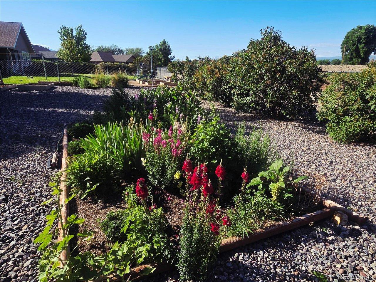 Image 4: Flower / Garden Beds