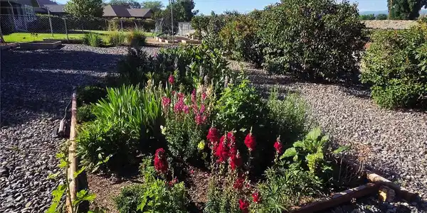 Image 4: Flower / Garden Beds