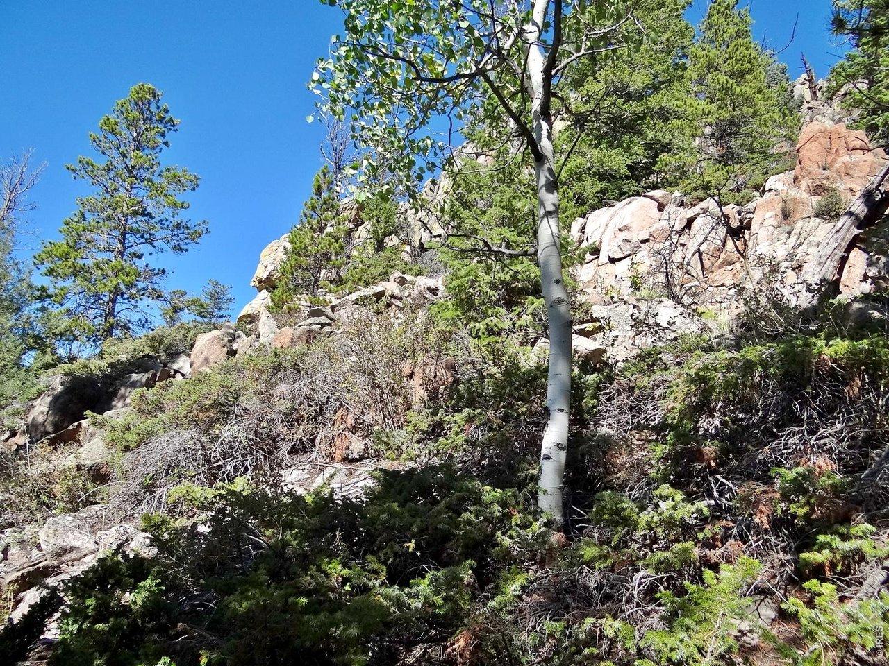 Image 3: Rock outcroppings Image 3: Rock outcroppings