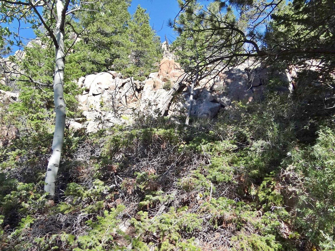 Image 4: Land with trees and rock outcroppings Image 4: Land with trees and rock outcroppings