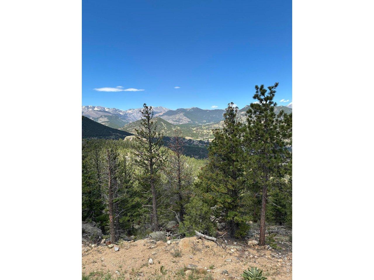 Image 4 Image 4