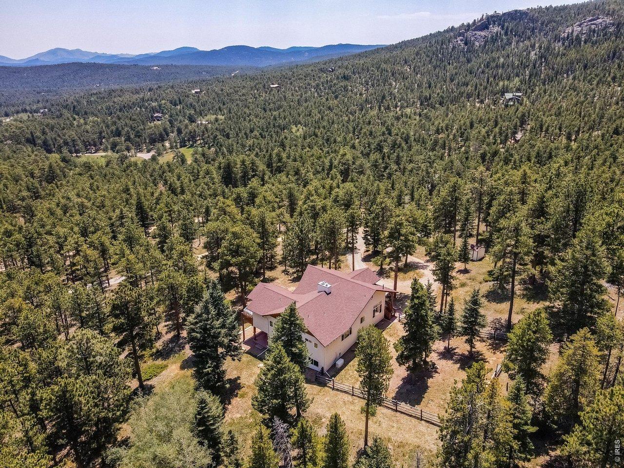 Image 4: Expansive forested acreage