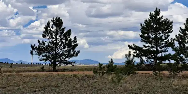 311 Haystack