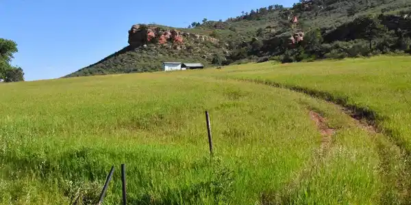 Image 4 Image 4