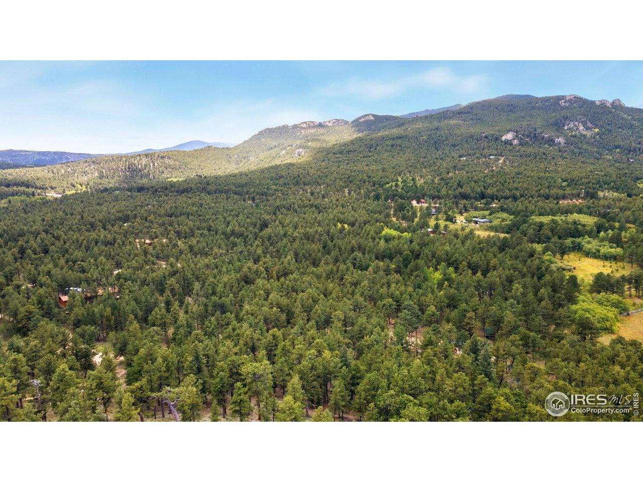 Image 3 Image 3