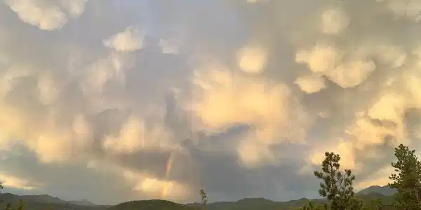 Image 2 Image 2