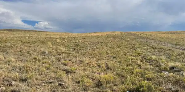 Image 4 Image 4