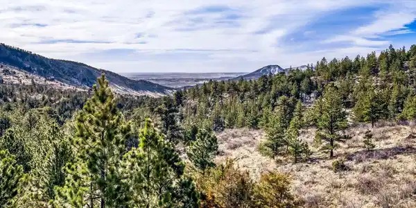 1042 Steamboat Valley Rd