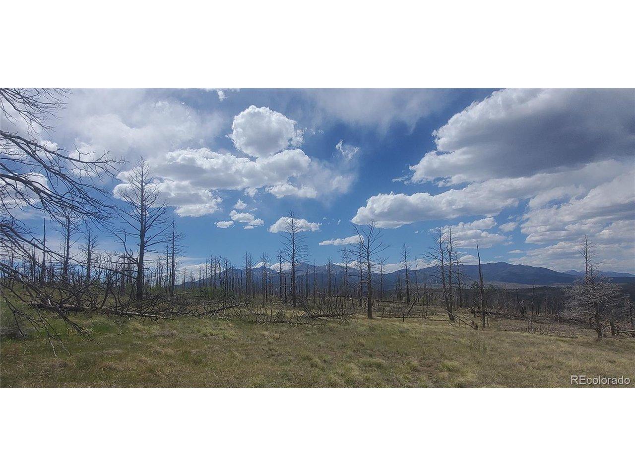 Image 4 Image 4