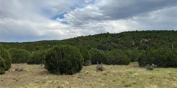 Image 3 Image 3