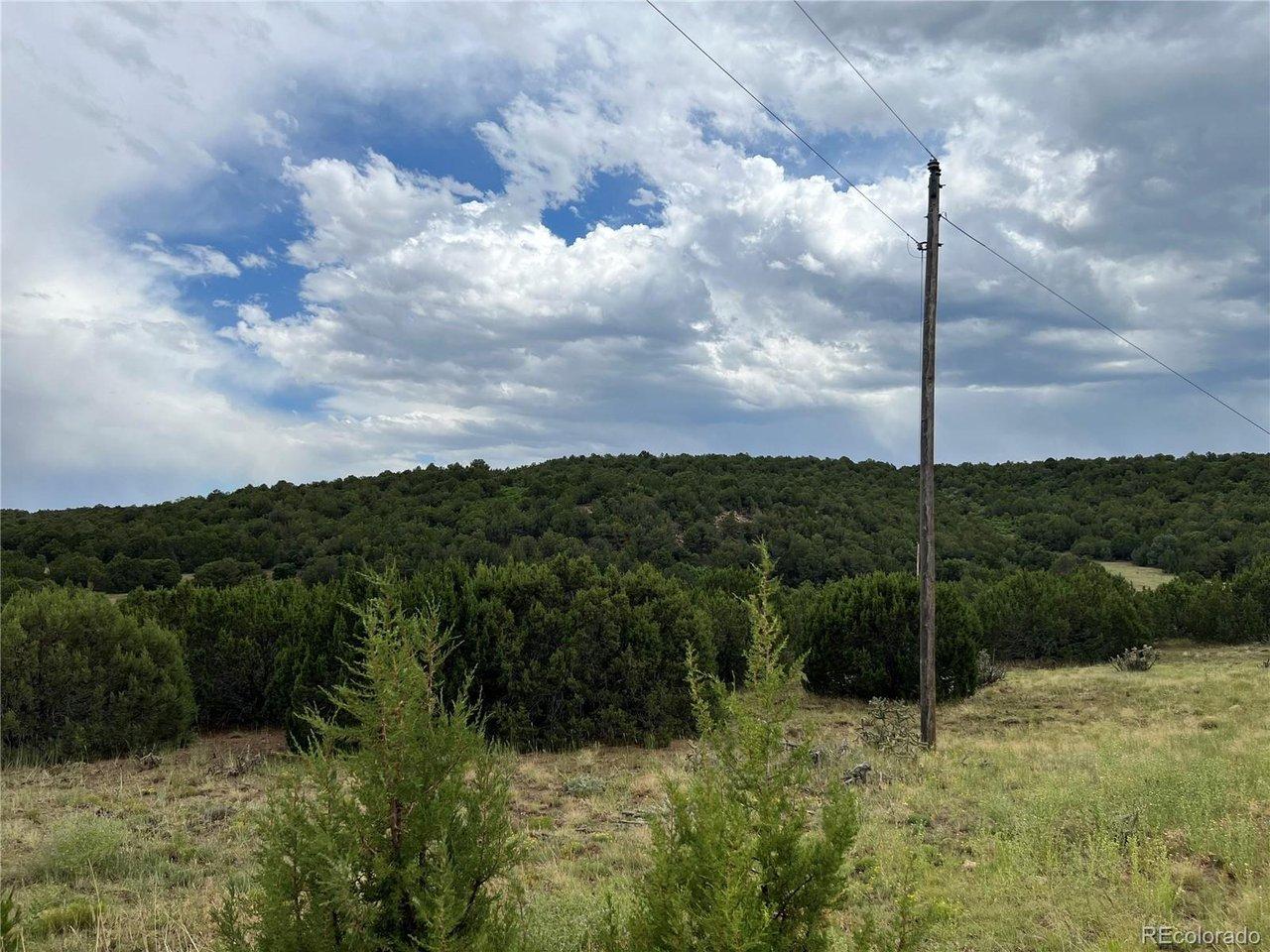 Image 4 Image 4