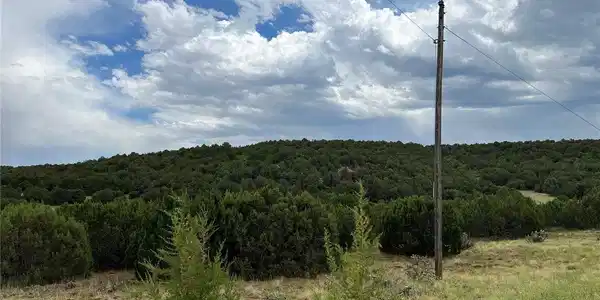 Image 4 Image 4
