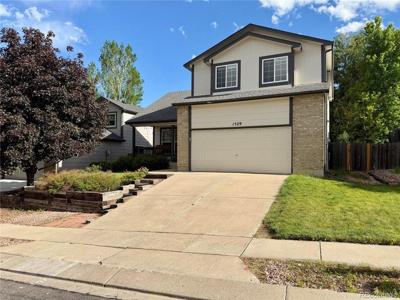 1529 Chutney Ct