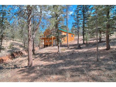 11845 S Stallion Dr