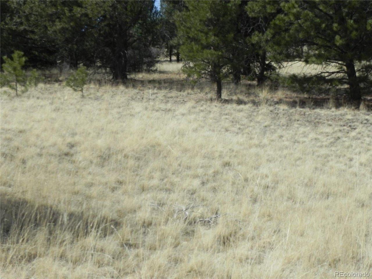 Image 3 Image 3