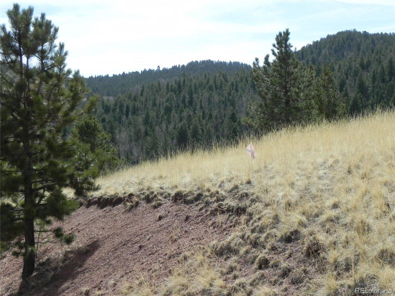 Image 4 Image 4