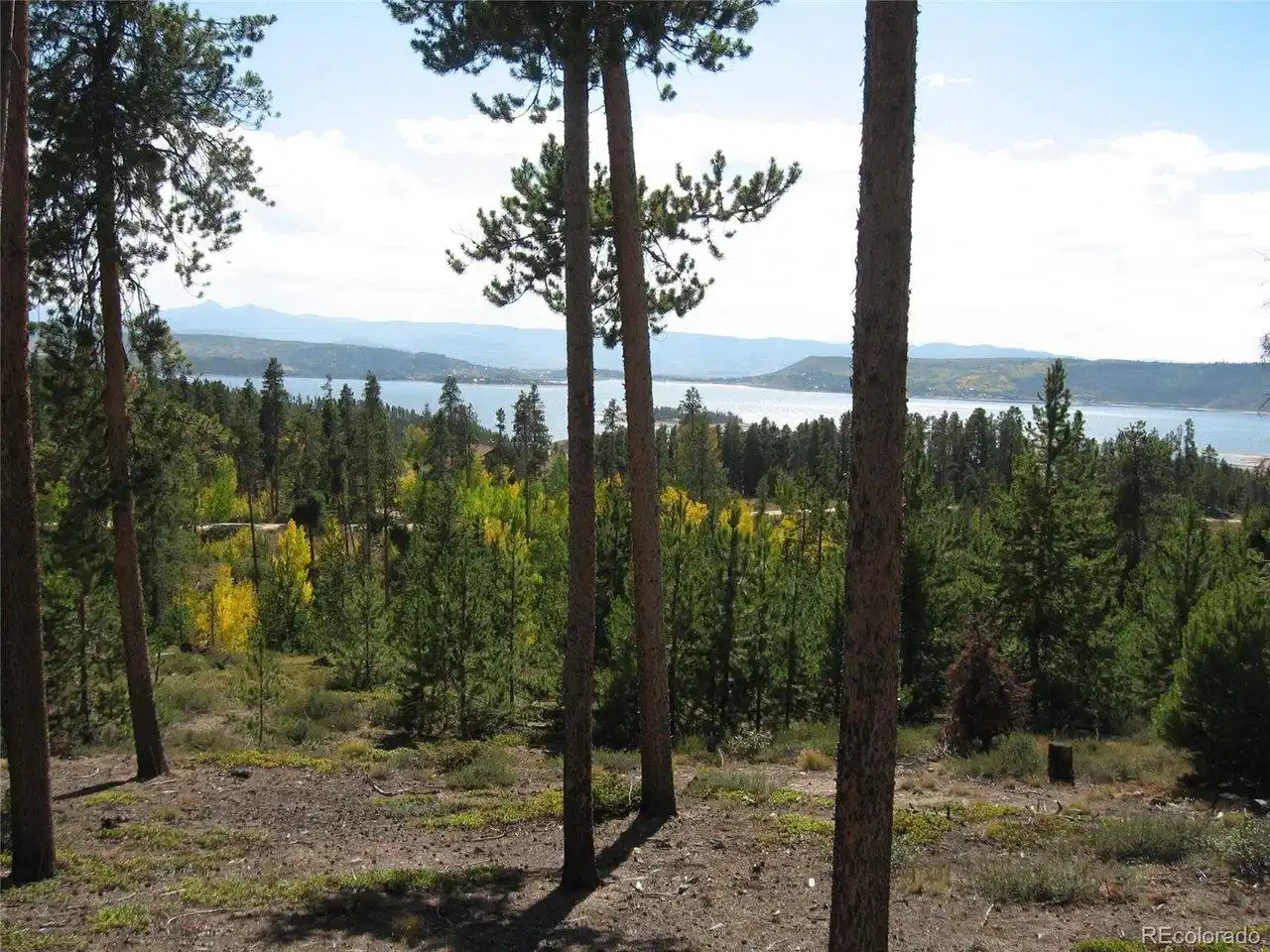 Image 1 Image 1