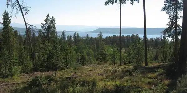 Image 3 Image 3