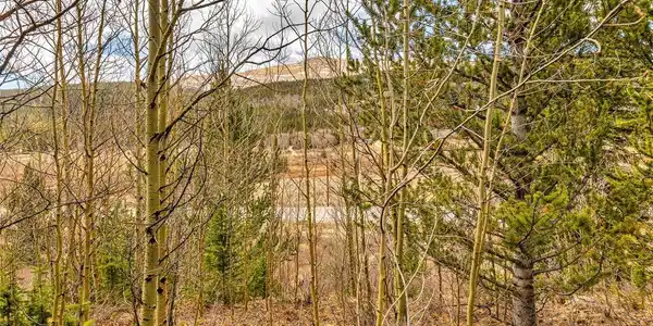 55780 Highway 9