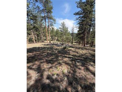39 Rabbil Creek Trl