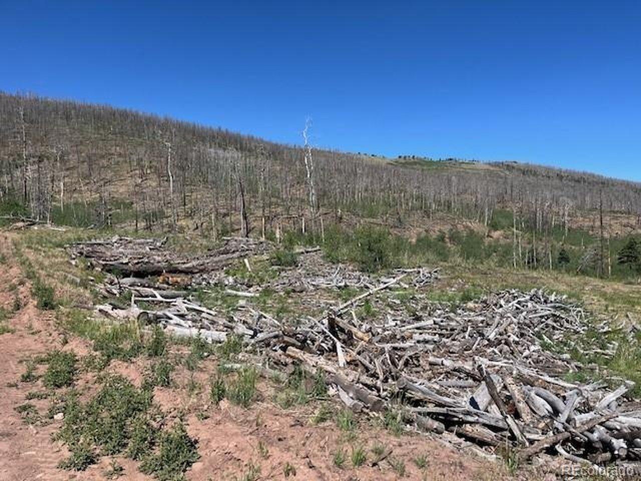 Image 4 Image 4