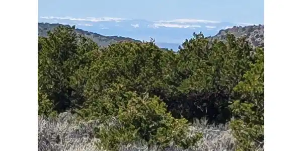 Image 4 Image 4