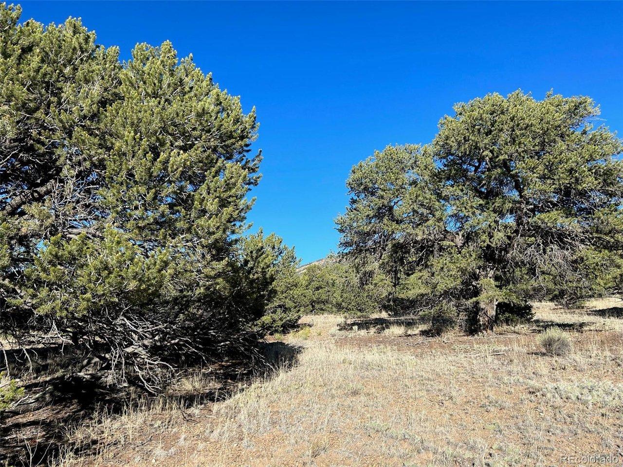 Image 2: Junipers and pinon trees are nicely spaced for easy build site options. Image 2: Junipers and pinon trees are nicely spaced for easy build site options.