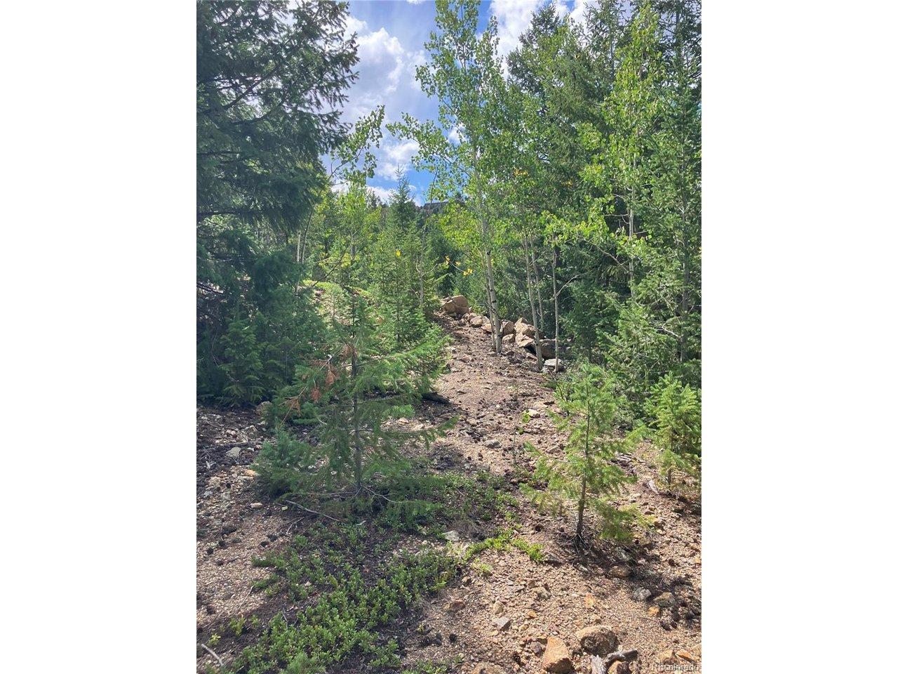 Image 1: Easy Walking Trail Image 1: Easy Walking Trail