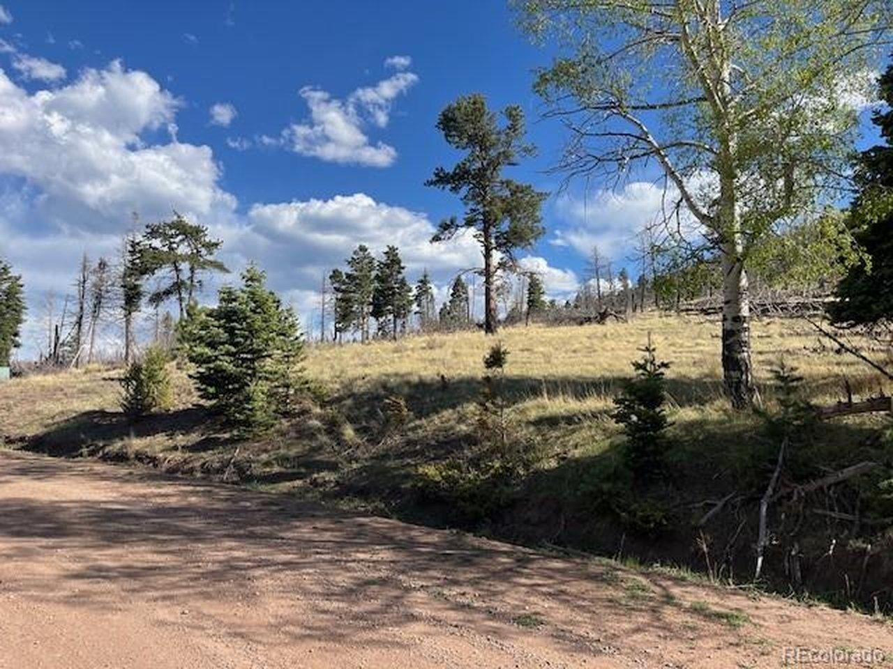 Image 1 Image 1