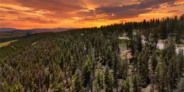 1396 Middle Fork Vis