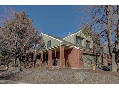 8849 Blue Mountain Pl
