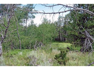 Wilderness Ranch Rd