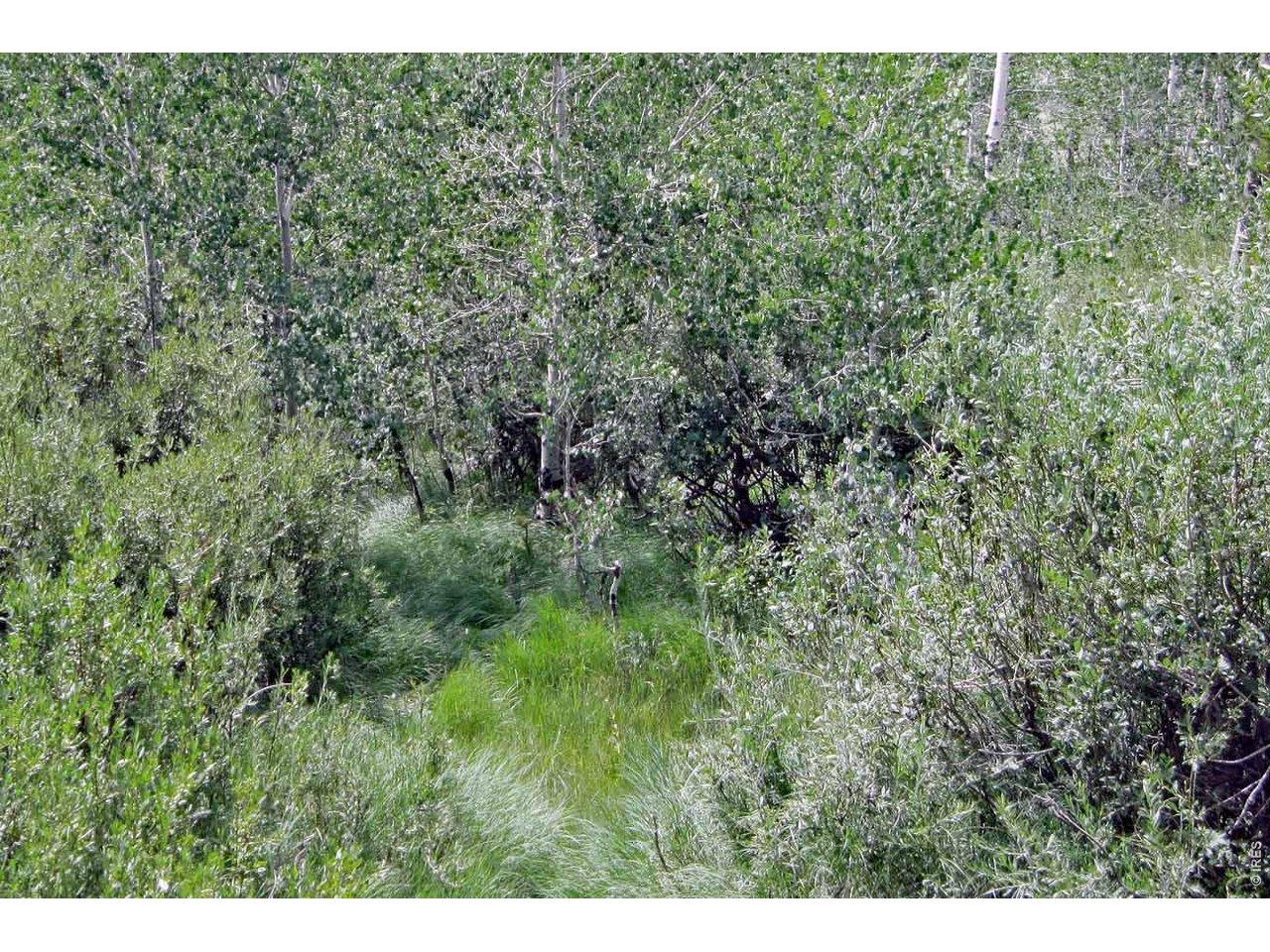 Image 2 Image 2