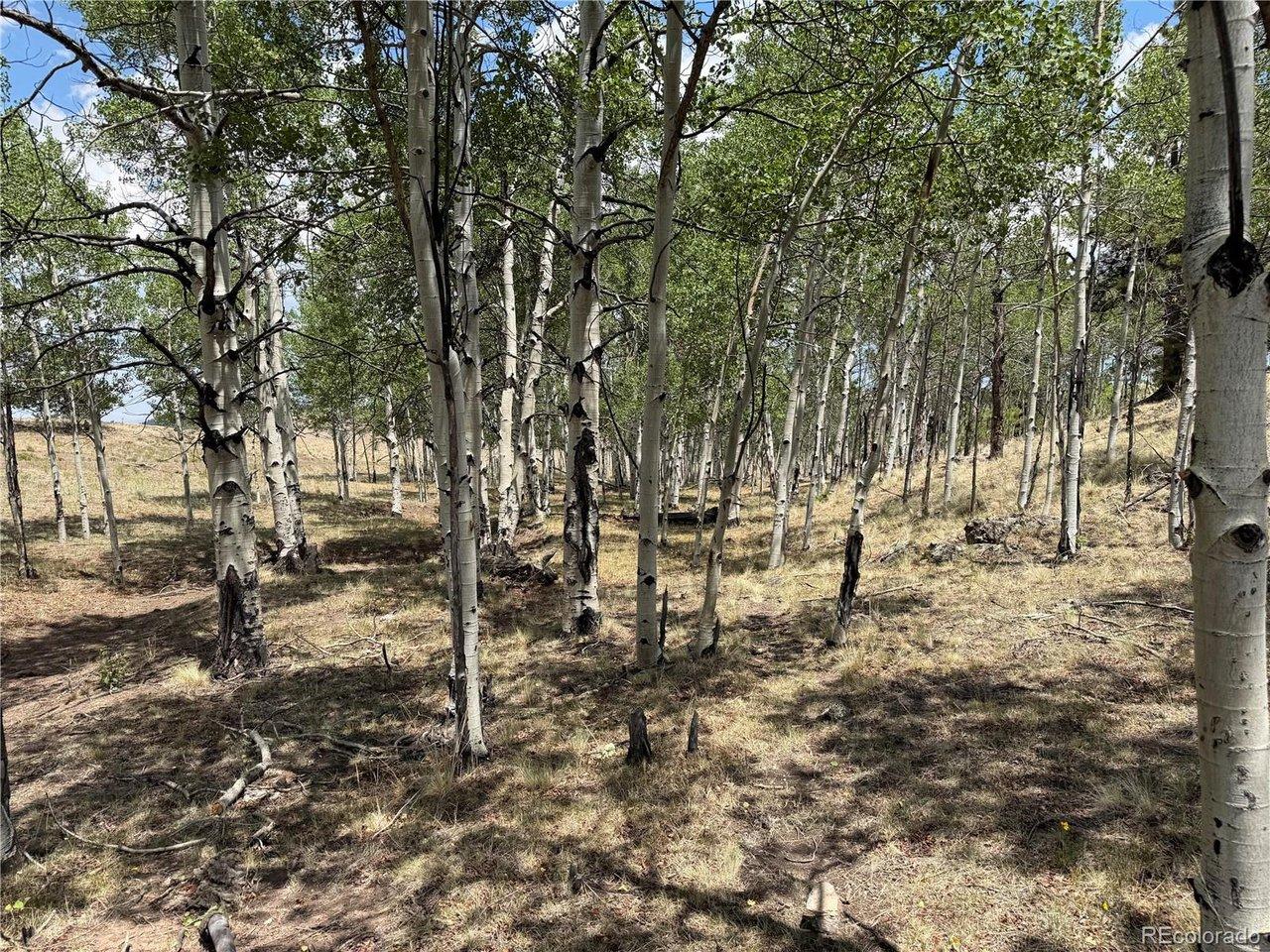 Image 3 Image 3