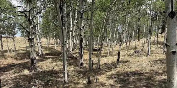 Image 3 Image 3