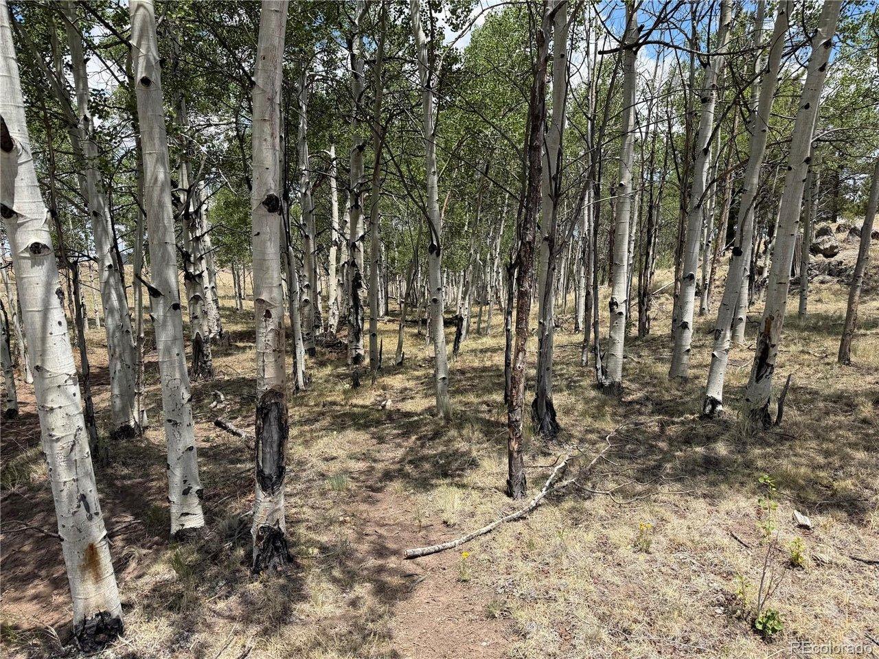 Image 4 Image 4