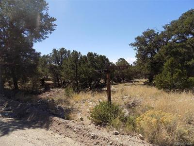 Little Bear Rd