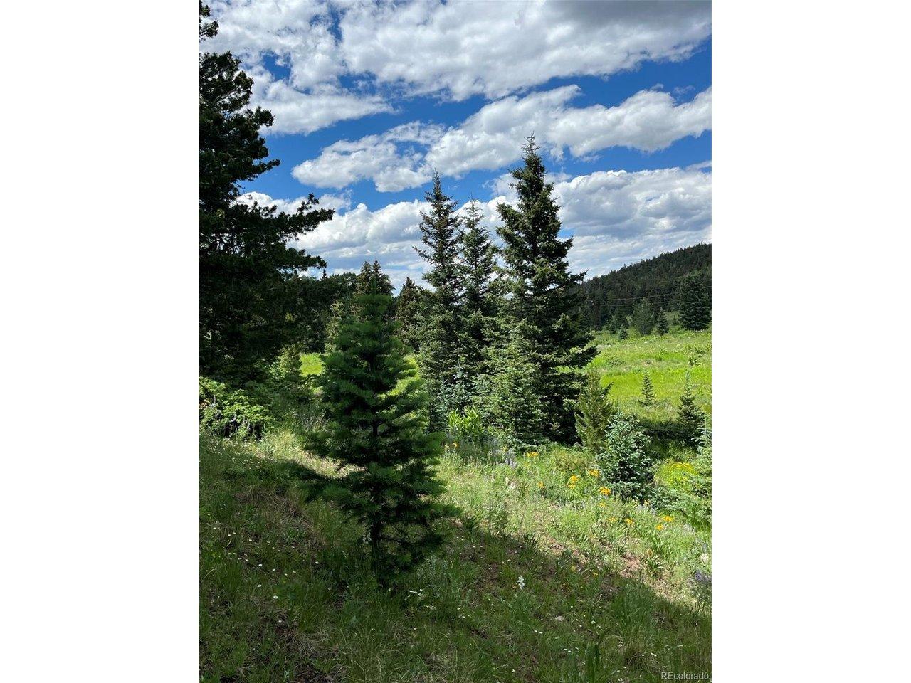 Image 2 Image 2