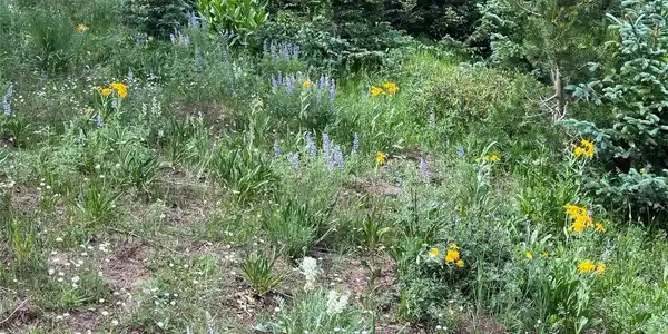 Image 3 Image 3