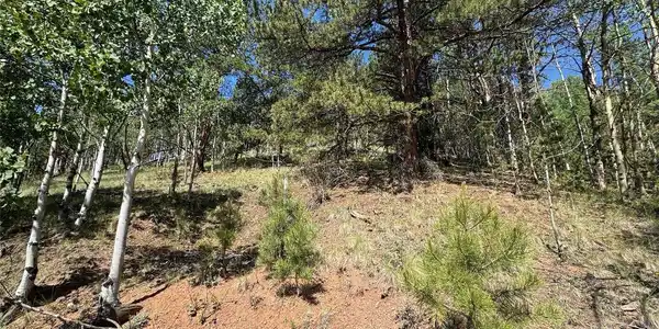 Image 3 Image 3