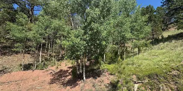 Image 4 Image 4