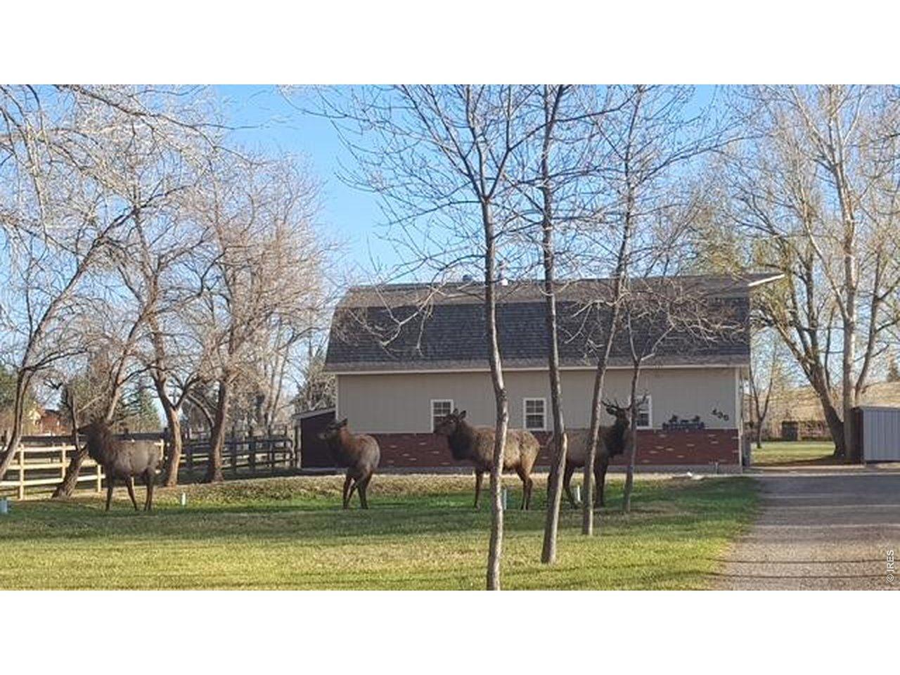 Image 3: Barn and Wildlife