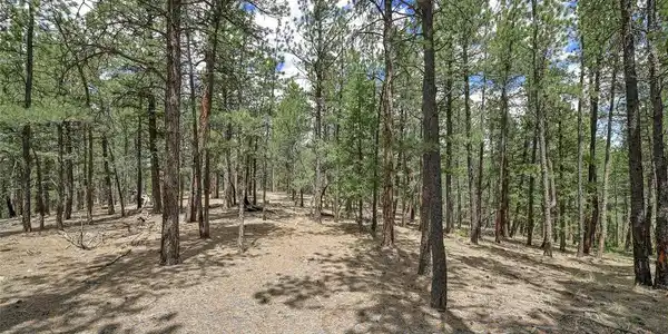 Image 4 Image 4