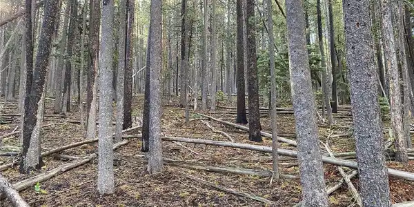 Image 3 Image 3