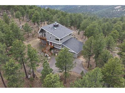 262 Bristlecone Way