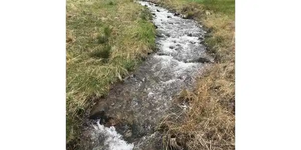 Image 4 Image 4