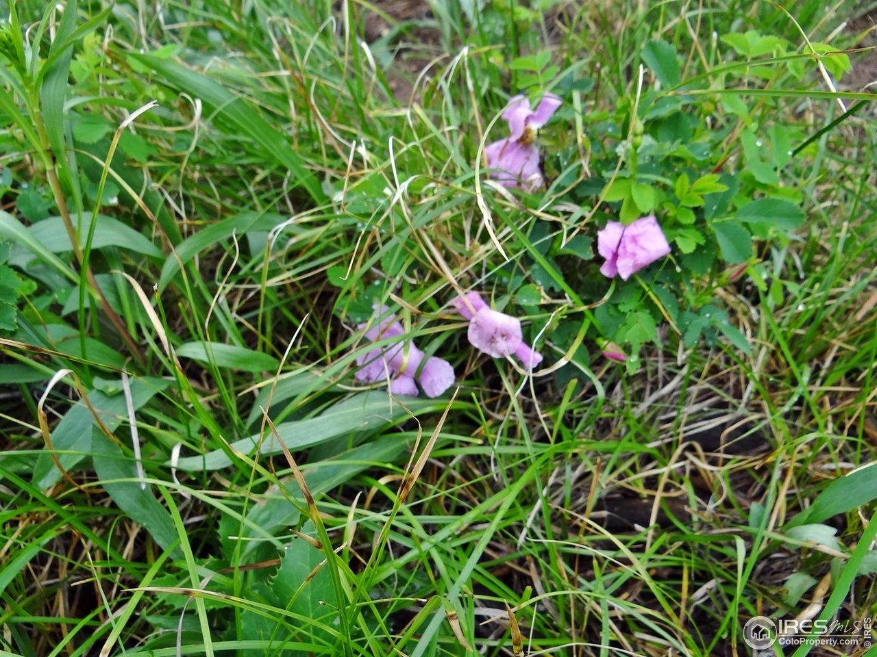 Image 2 Image 2