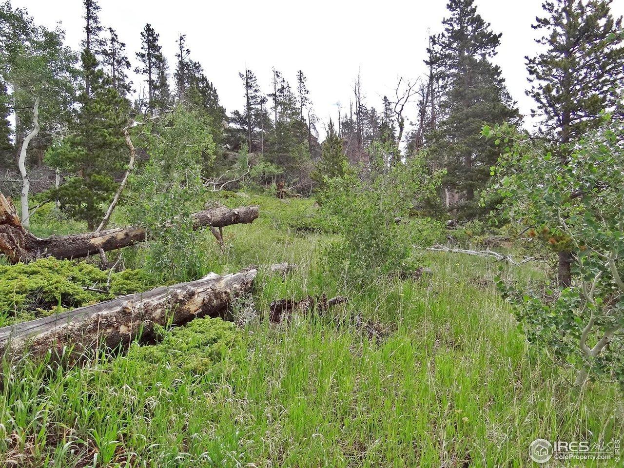 Image 3 Image 3