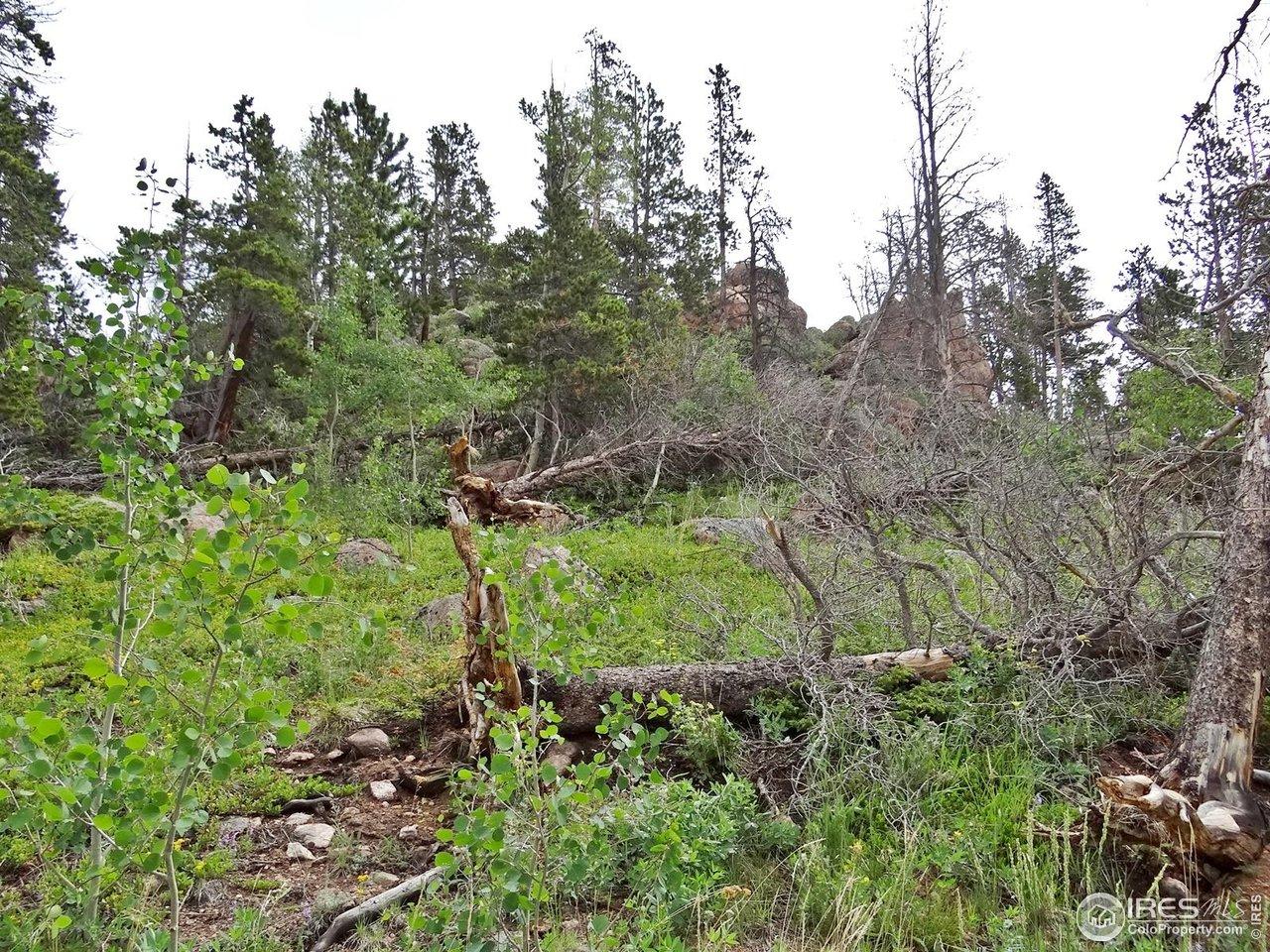 Image 4 Image 4