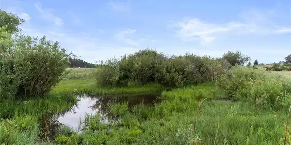 Image 4 Image 4